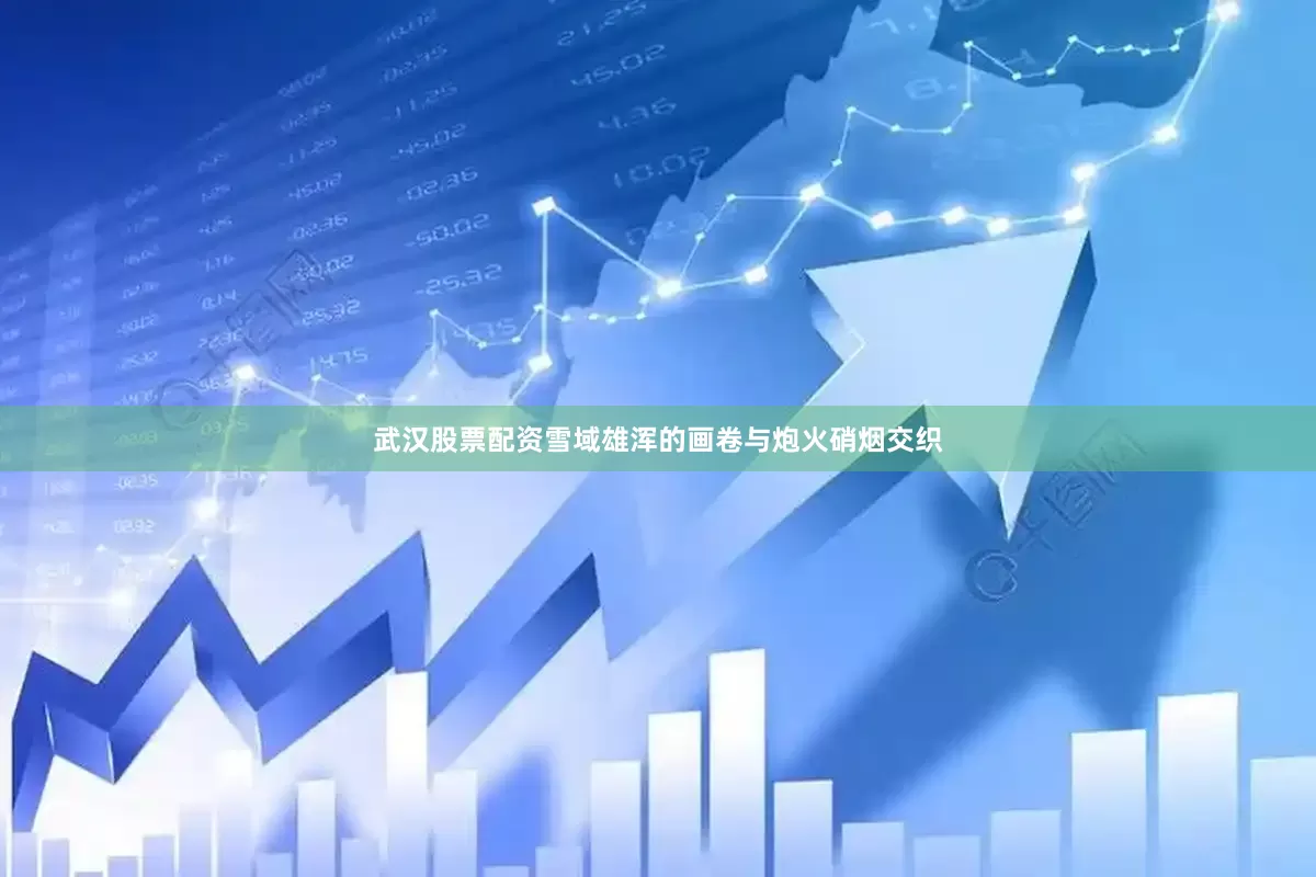 武汉股票配资雪域雄浑的画卷与炮火硝烟交织