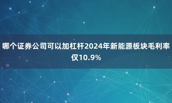 哪个证券公司可以加杠杆2024年新能源板块毛利率仅10.9%