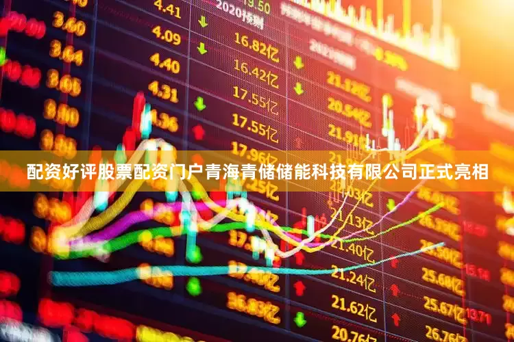 配资好评股票配资门户青海青储储能科技有限公司正式亮相