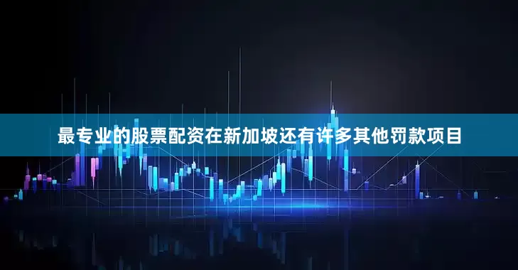 最专业的股票配资在新加坡还有许多其他罚款项目