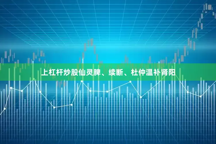 上杠杆炒股仙灵脾、续断、杜仲温补肾阳