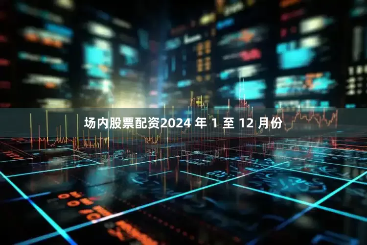 场内股票配资2024 年 1 至 12 月份